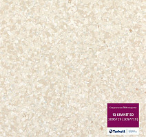 Линолеум Tarkett iq Granit Sd 3096 719 фото 1 | FLOORDEALER